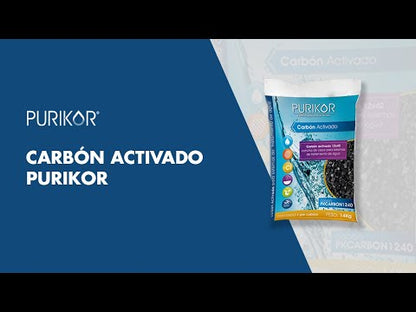 Carbón vegetal activado de concha de coco